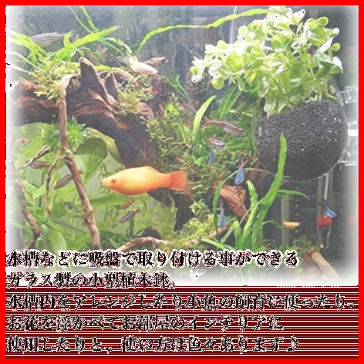 かくれ家