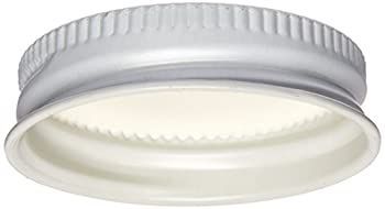 HomeBrewStuff White l Growler Caps 38mm Fits Most 1/2 and 1 Gallon Jugs (Pack of 12) by Home Brew Stuff
