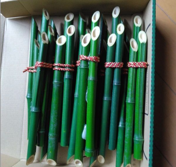 ≪セット商品≫門松飾り用竹 小 組ひも付１０本 門松飾り用竹 ２０本 便