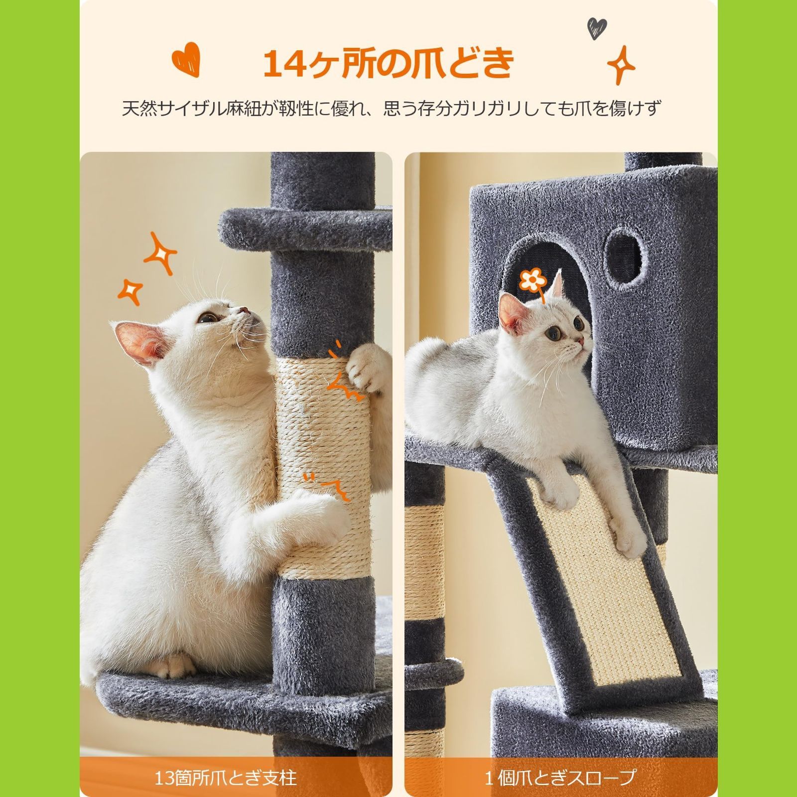 大型猫用 多頭飼い