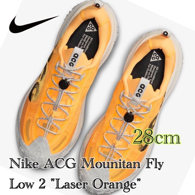 Nike ACG Mounitan Fly Low 2 