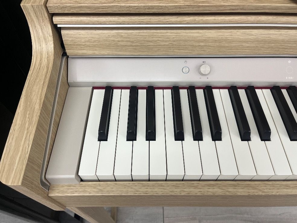 77383 電子ピアノ ROLAND LX5LA WWW_TRAVELLANDINDIA_COM