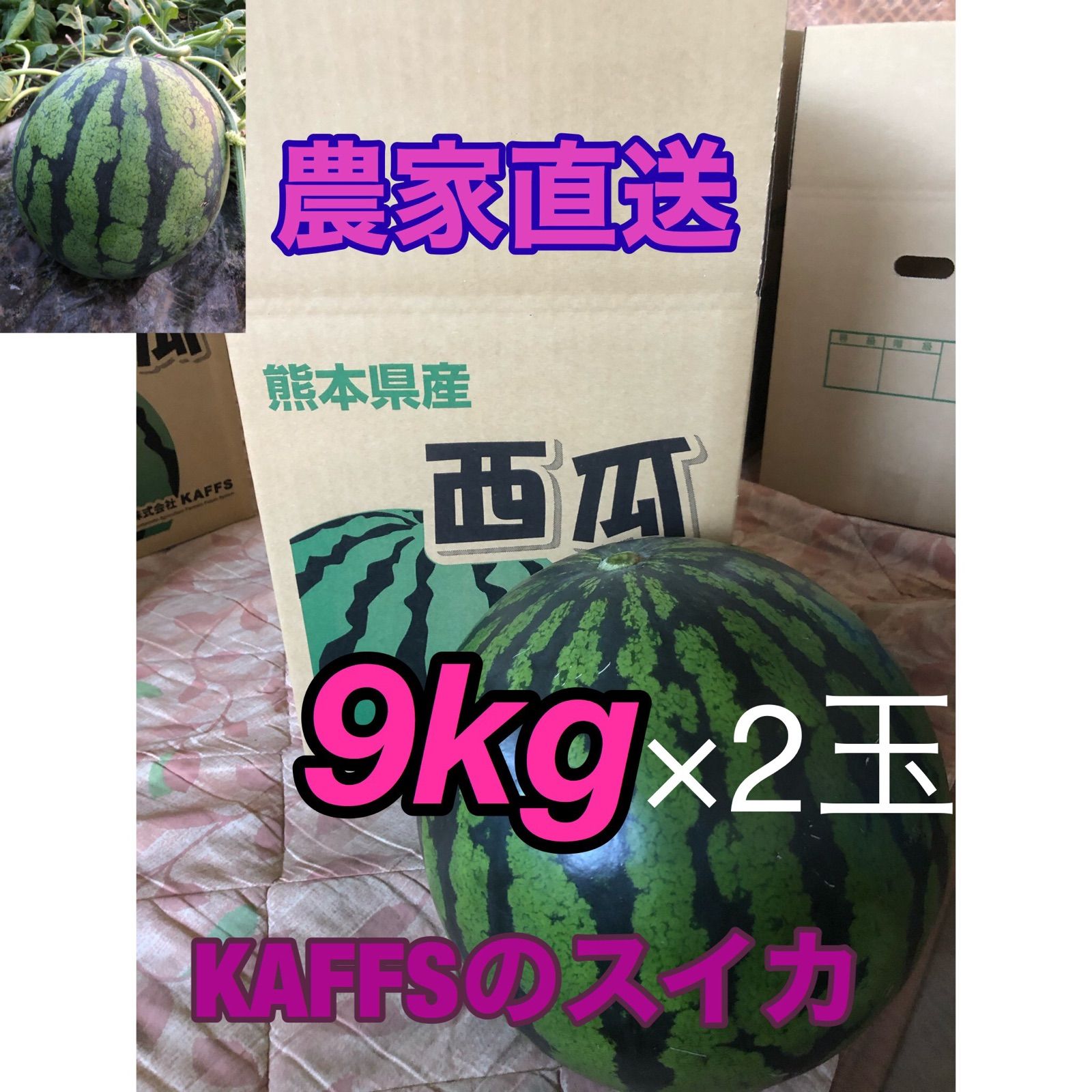 ニッサン・638 大玉スイカの最高傑作【羅皇】特4L（9〜10kg）熊本植木