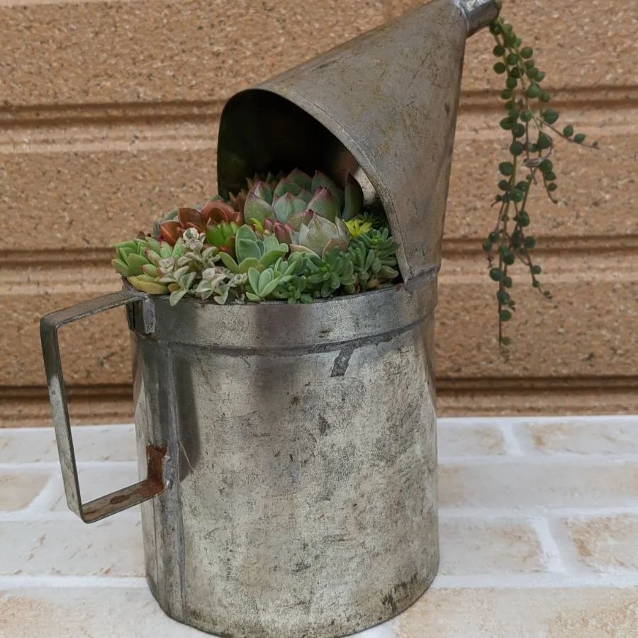 ☆多肉植物 寄せ植え〜ブリキ ハット寄せ〜☆ 多肉植物寄せ植え ブリキ