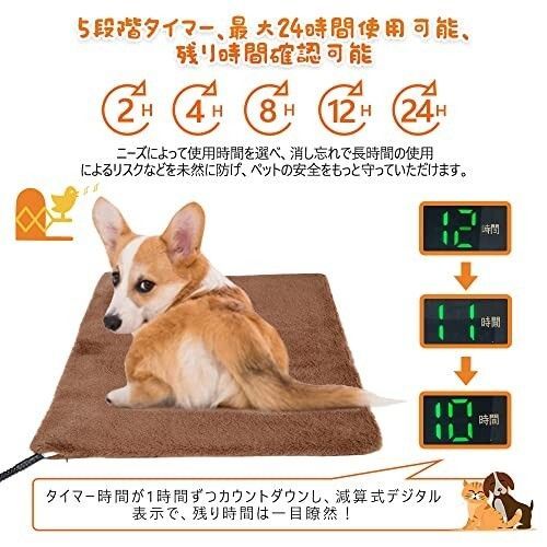 犬