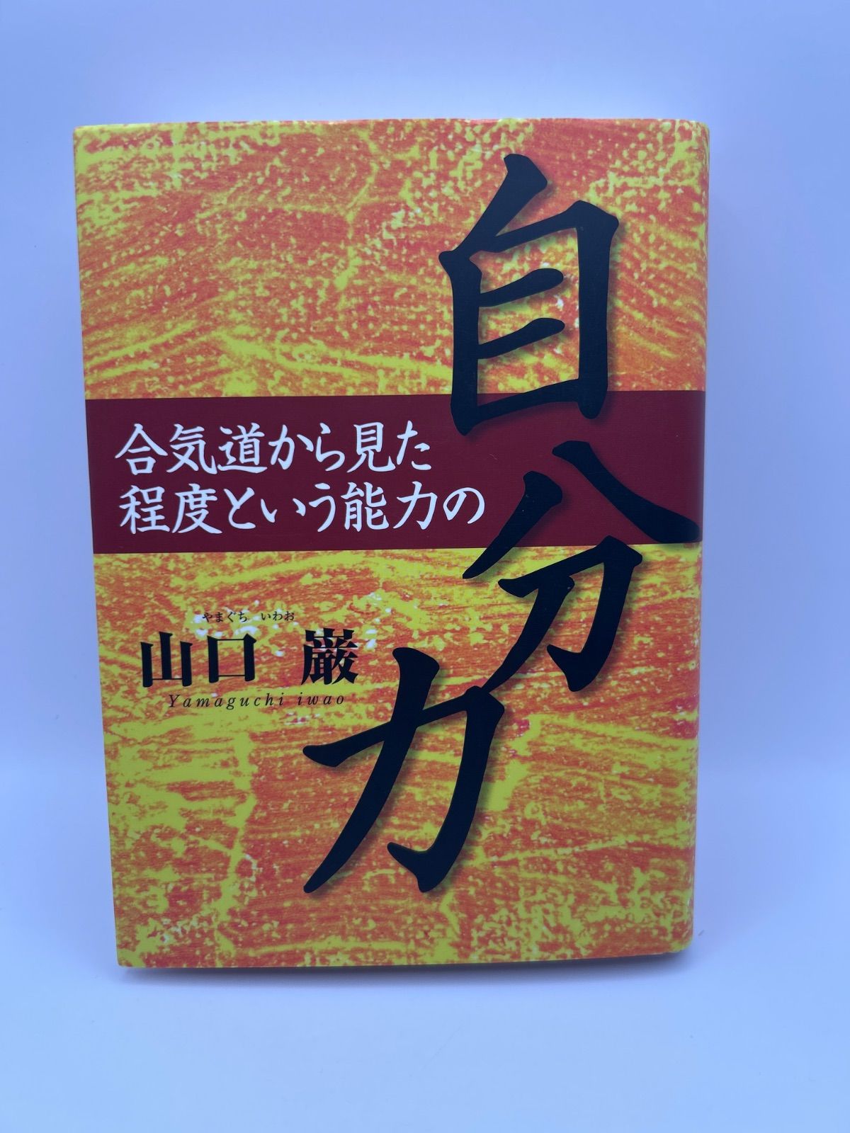 合気道から見た程度という能力の自分力