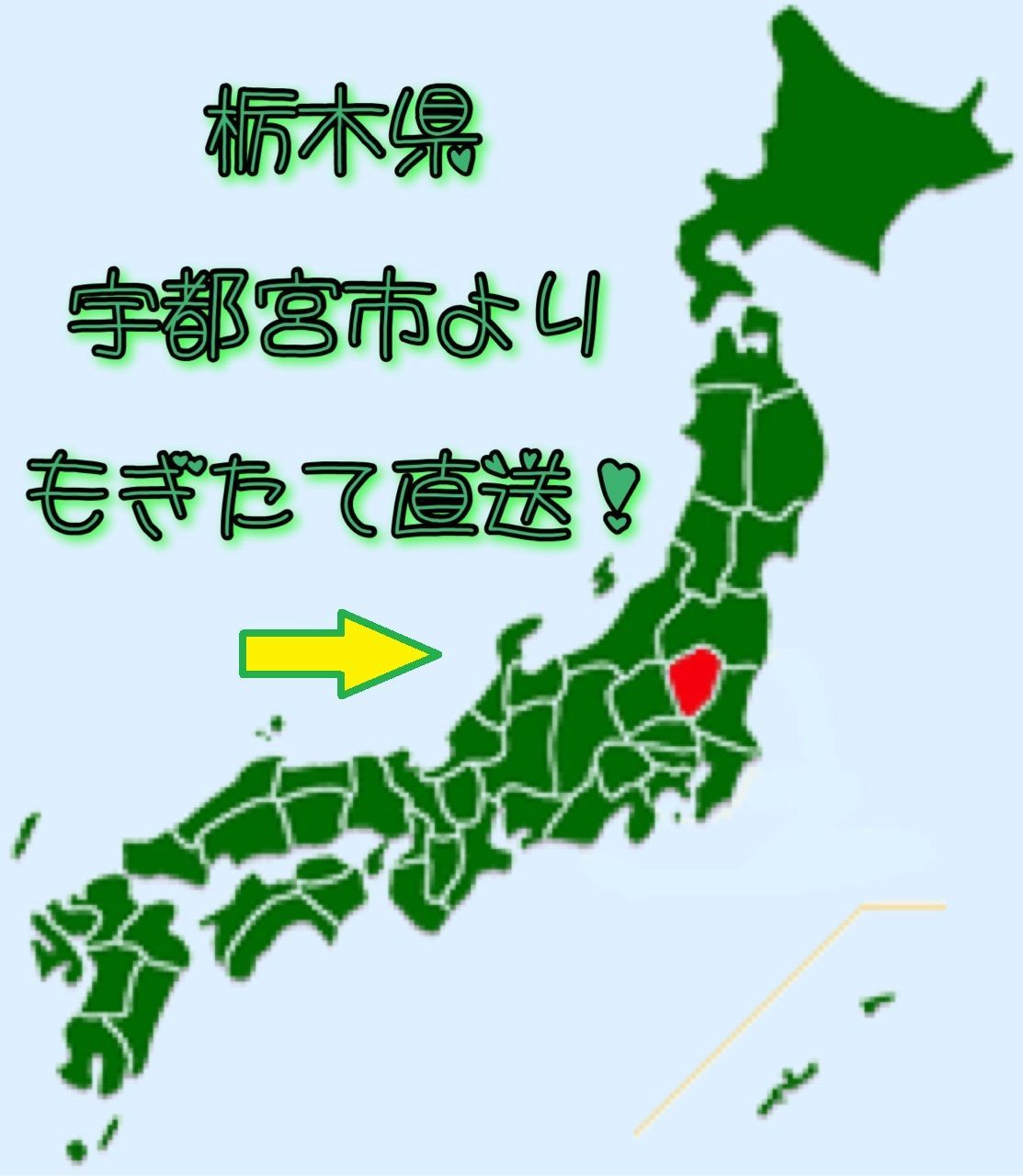 フラガール🍅ミニトマト！濃蜜クリスピー！たっぷり1.2キロ！農家👩‍🌾直送🚚！フルーツトマト！コンパクト！