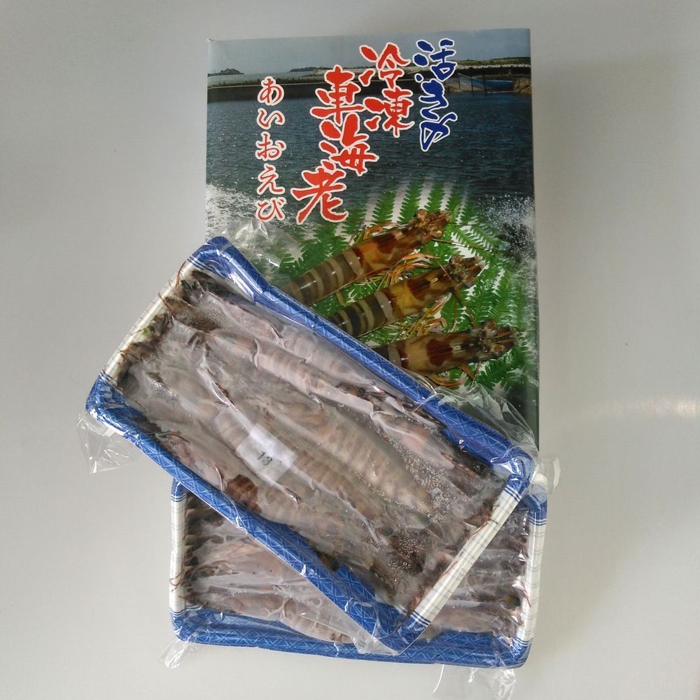 秋穂直送 車エビ 冷凍 活き締め車えび 400ｇｘ２箱 車海老16～28匹