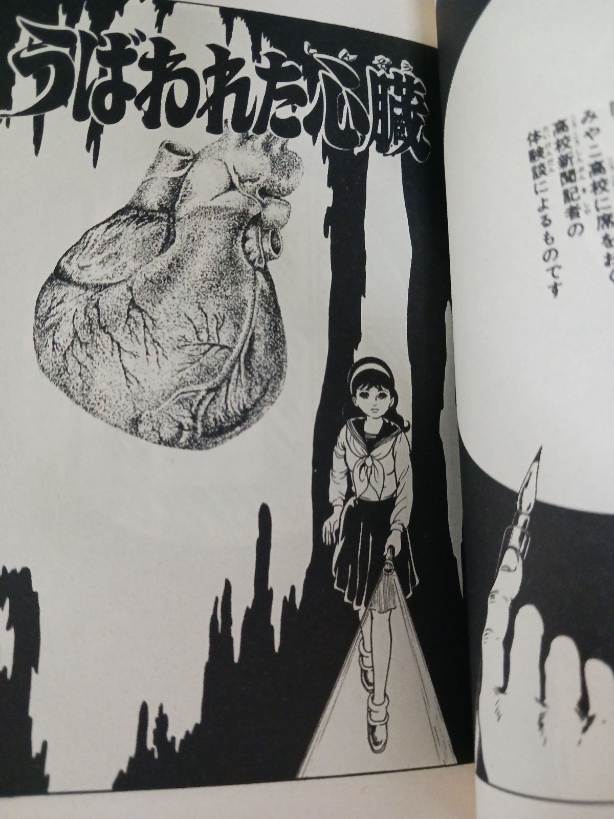 晴耕雨読専用 楳図かずおミイラ先生 楳図かずお「ミイラ先生」