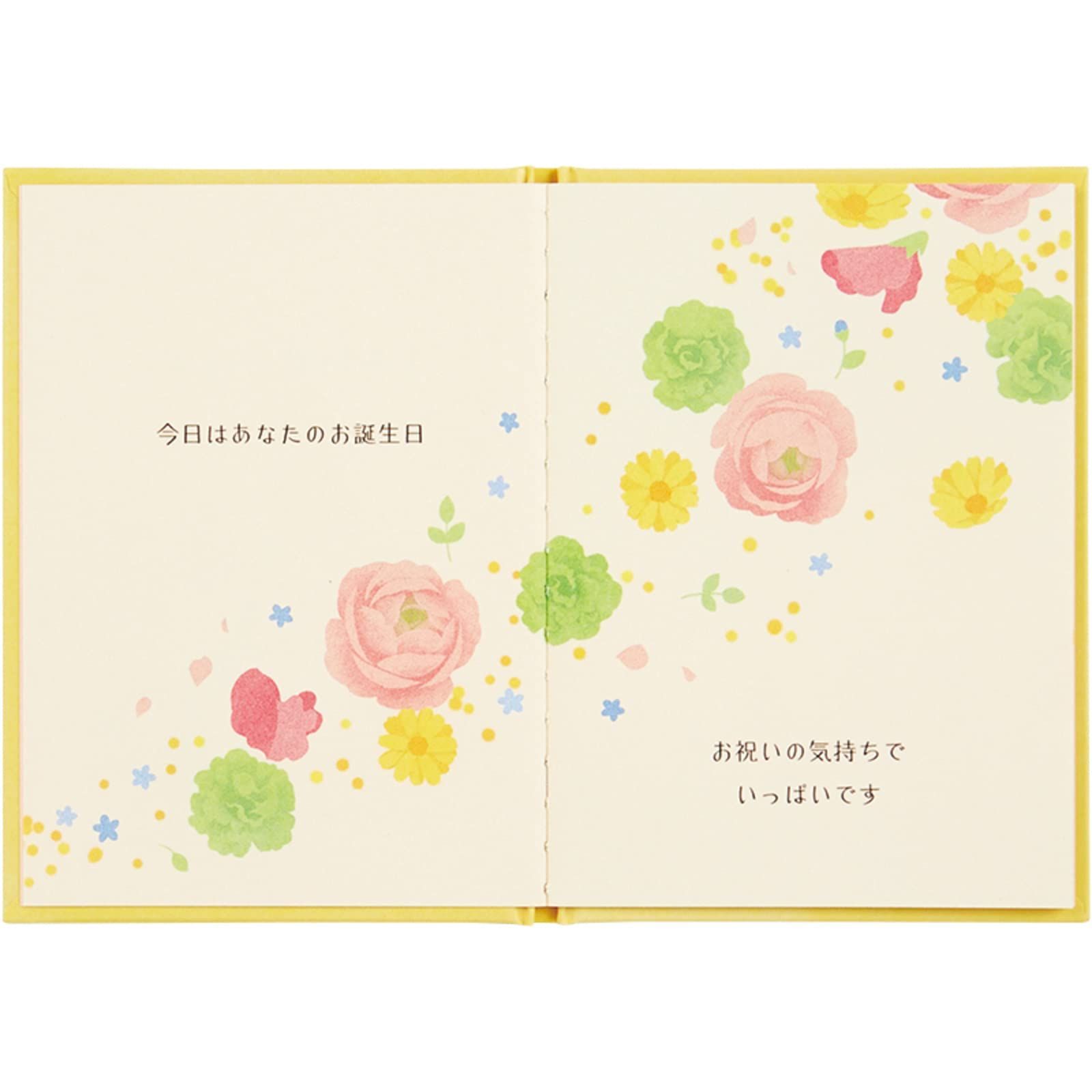 SANRIO BD118-2