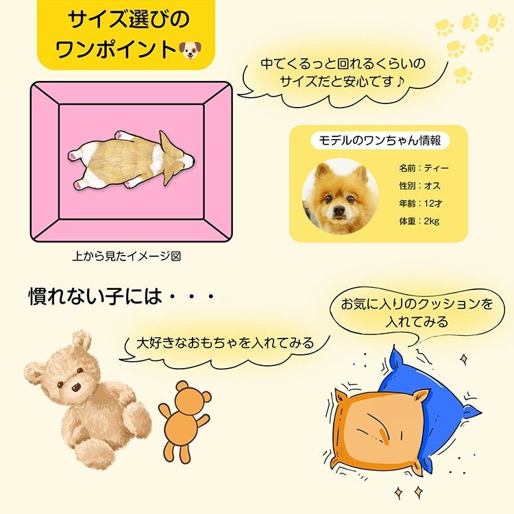 コンパクト