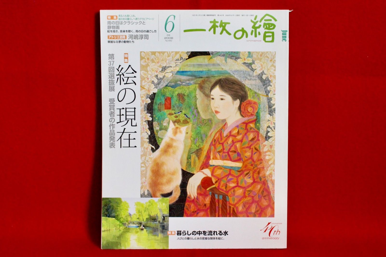 花乙女コレクション【中井智子 鏡の向こう】購入金額より60％お値引き