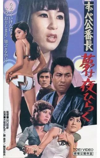 ずべ公番長 夢は夜ひらく('70東映)他3作品 中古】邦画 VHS ずべ公番長-夢は夜ひらく('70東映) - メルカリ