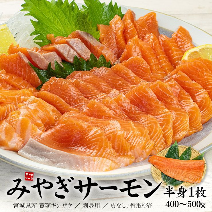 お刺身用 みやぎサーモン 半身(400～500g) [[みやぎサーモン]