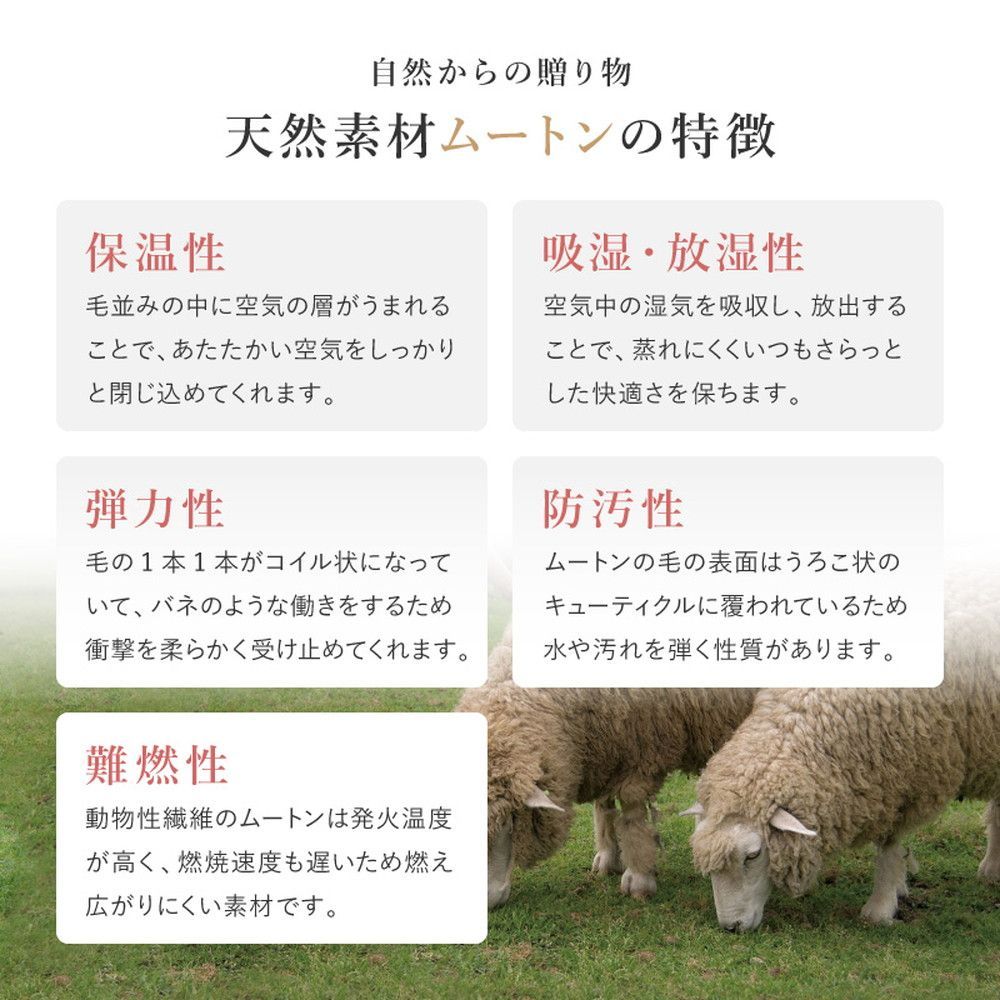 2枚組 約40×38cm ムートン ローズクッション シートクッション 座布団 NEXPOTALLINN_EU