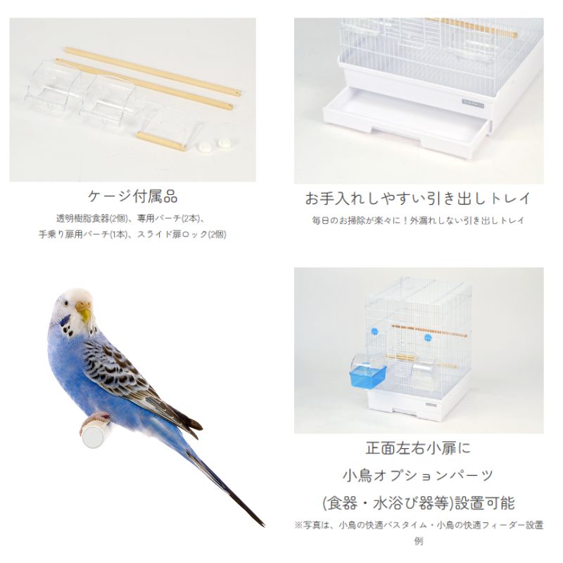 小鳥 鳥かご