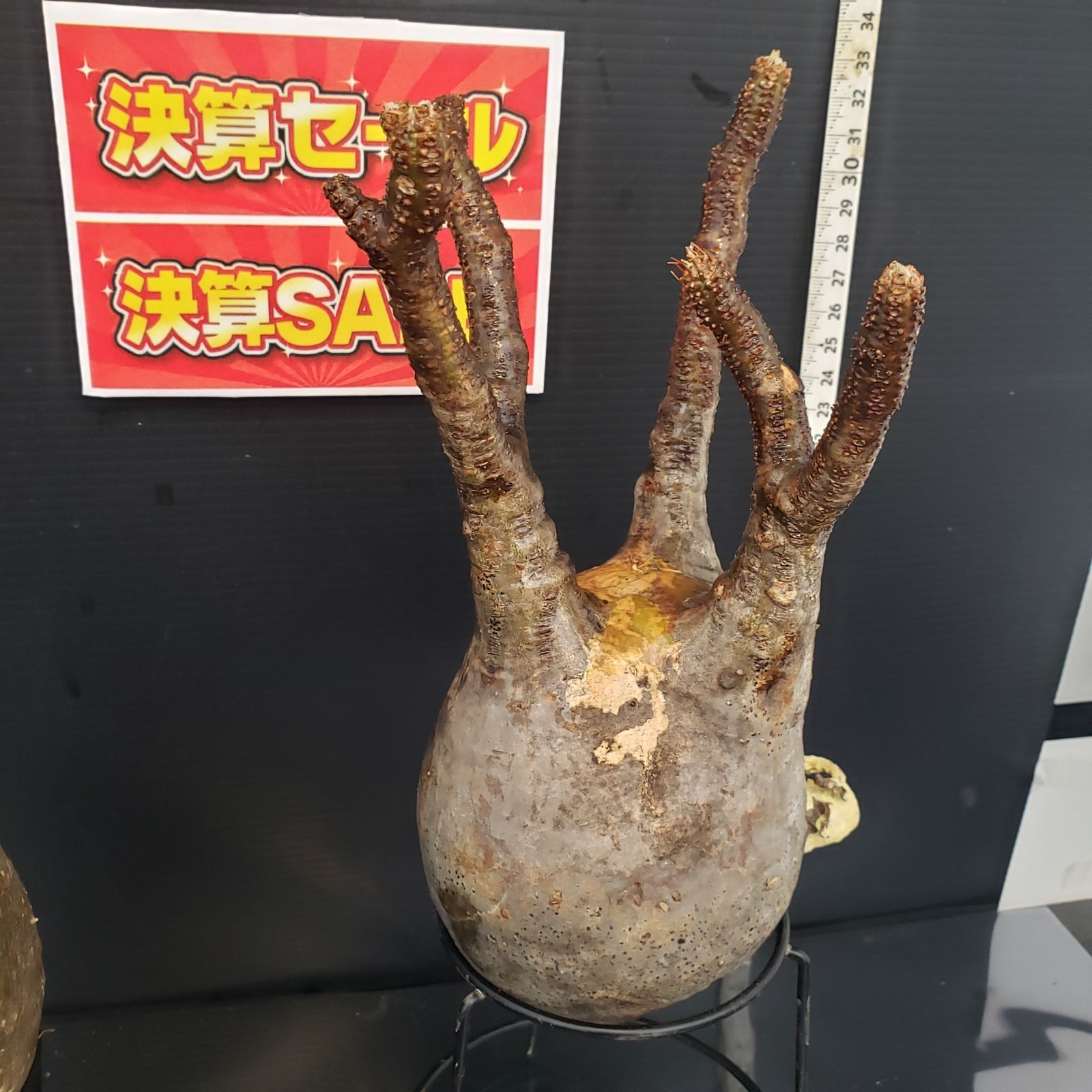 渡辺禎雄「聖母子」限定型染め版画 59/70 サイン入り 1978年 渡辺禎雄