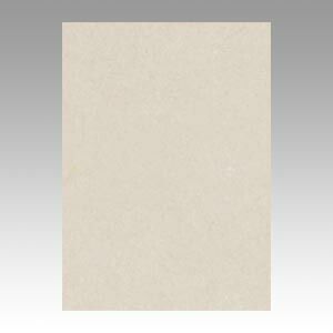 （まとめ） 色画用紙 文運堂 ニューカラーＲ 明るい灰色 4NCR-113 4954022641139 1冊【×5セット】 10,241円