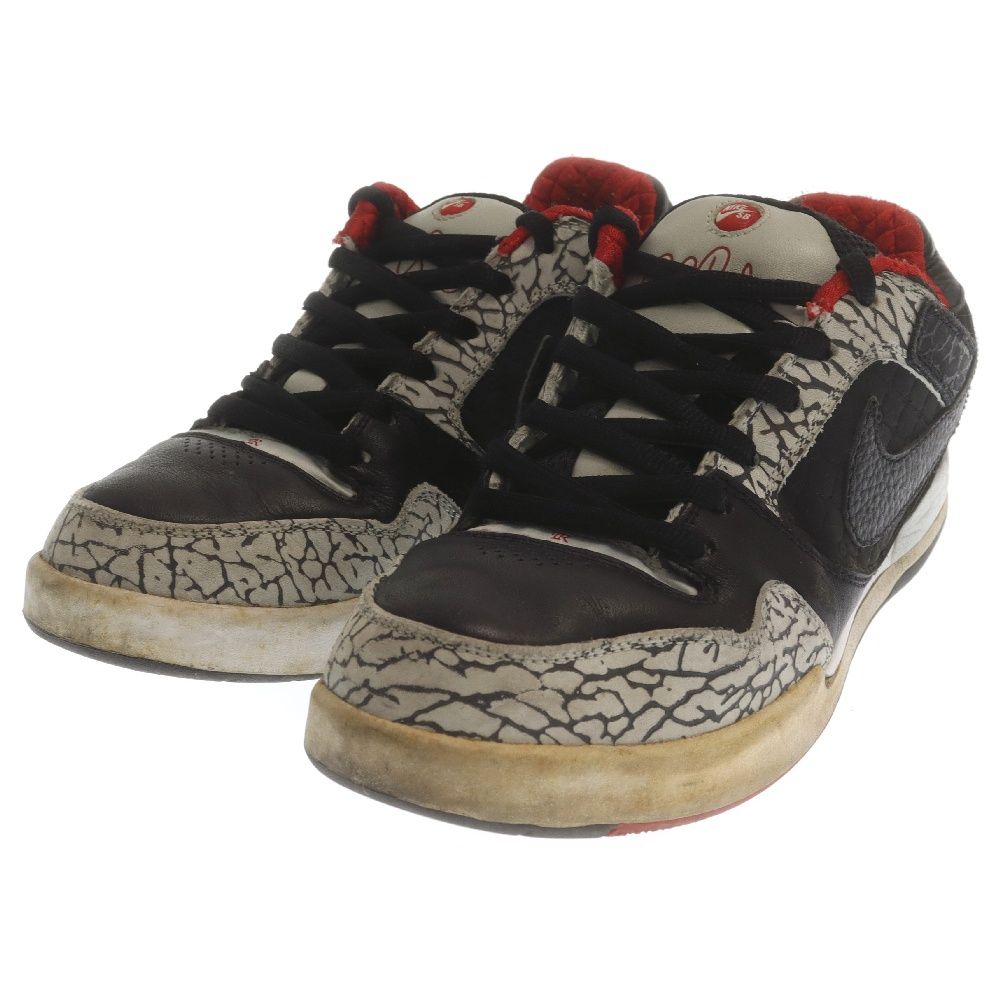 NIKE SB (ナイキエスビー) 【観賞用 2007年製】PAUL RODRIGUEZ 2 ZOOM