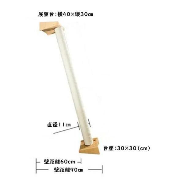 安定 頑丈