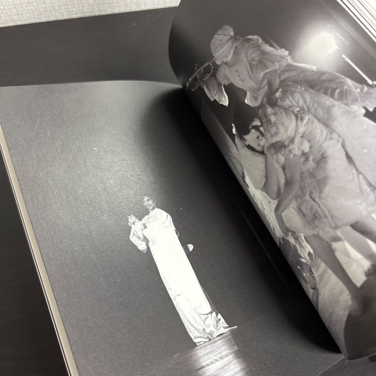 土方巽 肉体の舞踏誌 写真集　2018年初版 332P SC 土方巽 肉体の舞踏誌 写真集 2018年初版 332P SC 写真集 土方