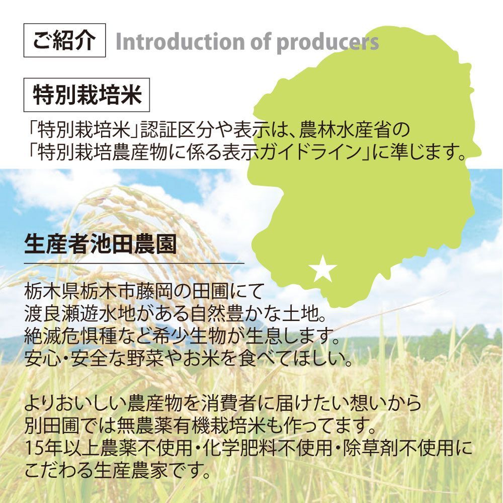 令和4年特別栽培米★農薬不使用★化学肥料不使用産無洗米『にじのきらめき』5kg