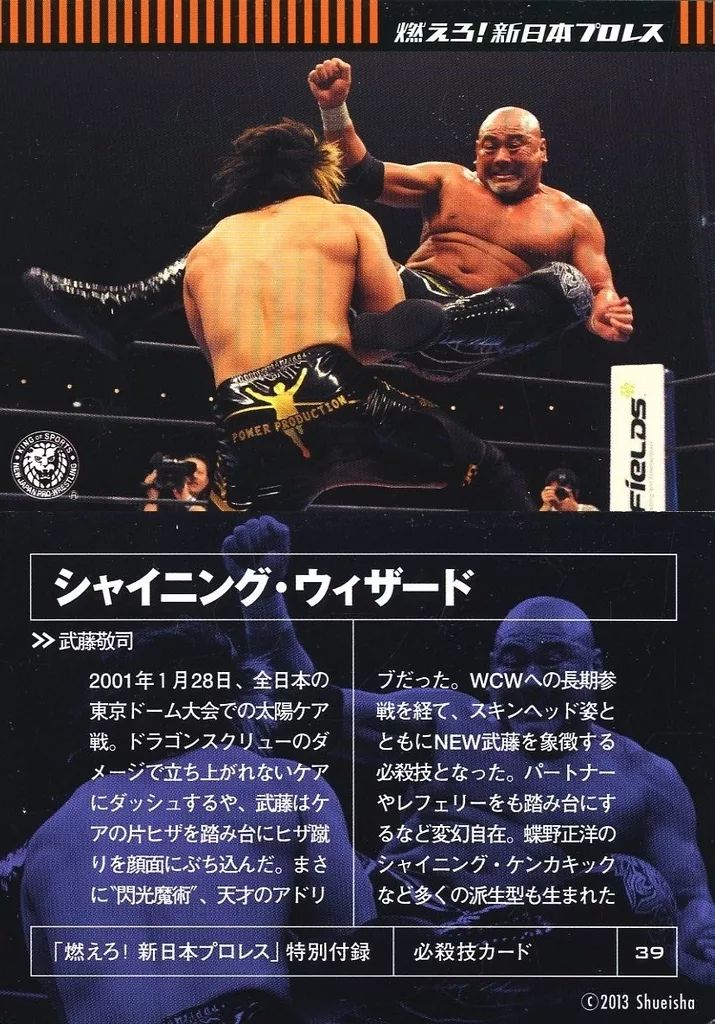 中古】スポーツ 39：シャイニング・ウィザード - メルカリ