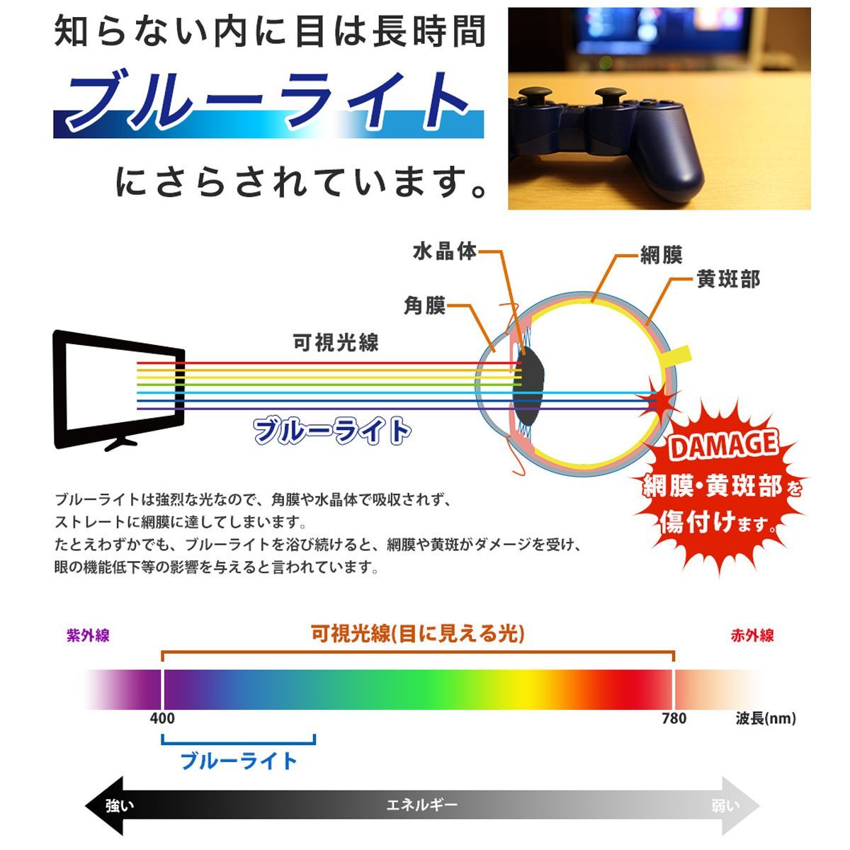 新品】【50インチ】液晶テレビ用保護パネル / ブルーライトカット