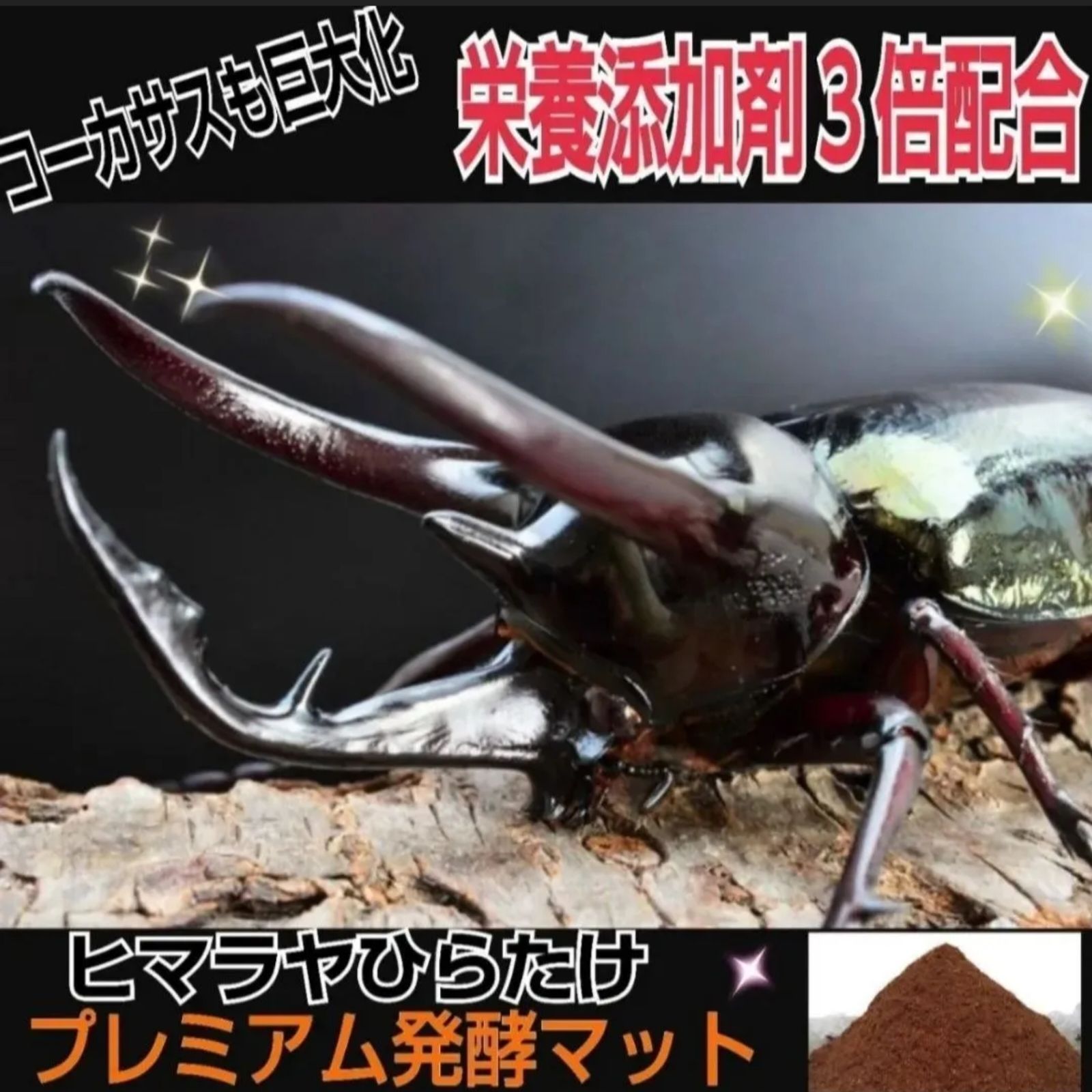 外国産カブトムシ幼虫が大きくなります！プレミアム3次発酵ヘラクレス 
