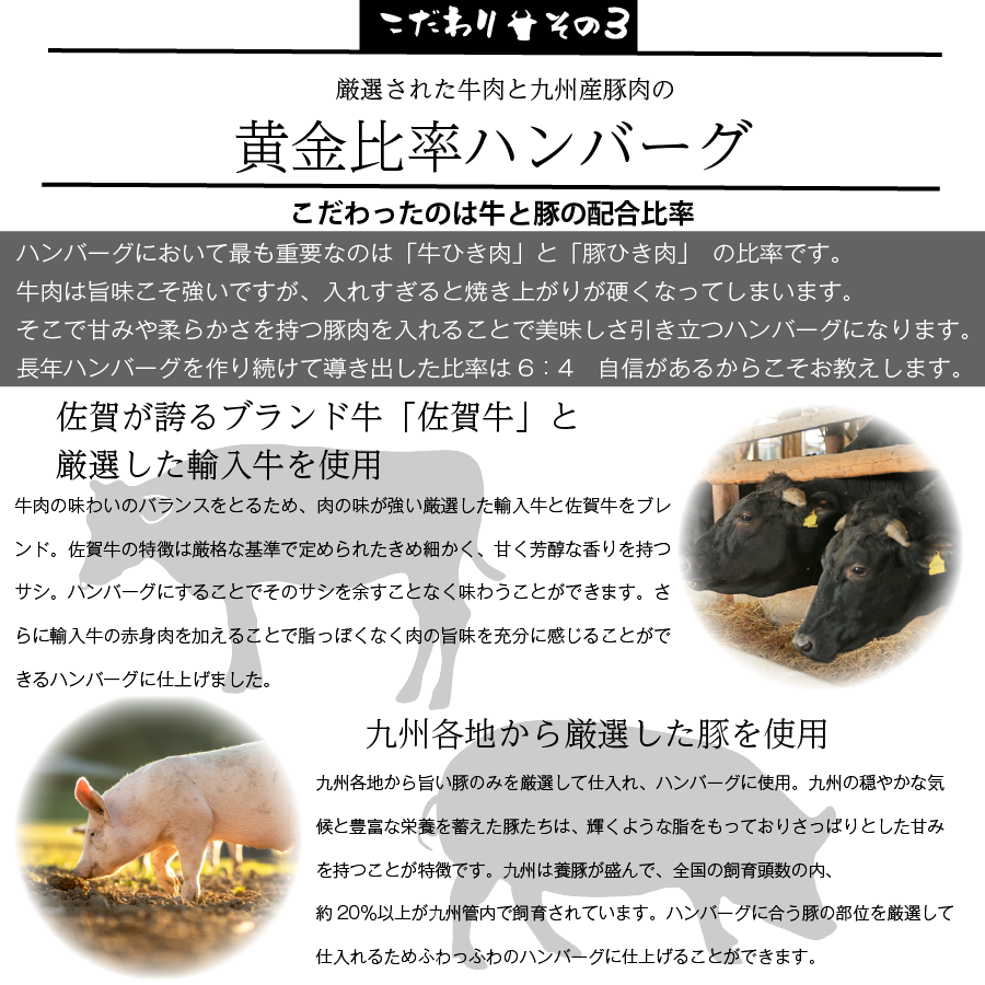 佐賀牛 入り 極ふわ ハンバーグ 120g×6個  ハンバーグ 敬老の日 肉 牛肉 惣菜 肉惣菜 冷凍 黒毛和牛 和牛 ギフト お取り寄せ お祝い 送料無料 贈り物