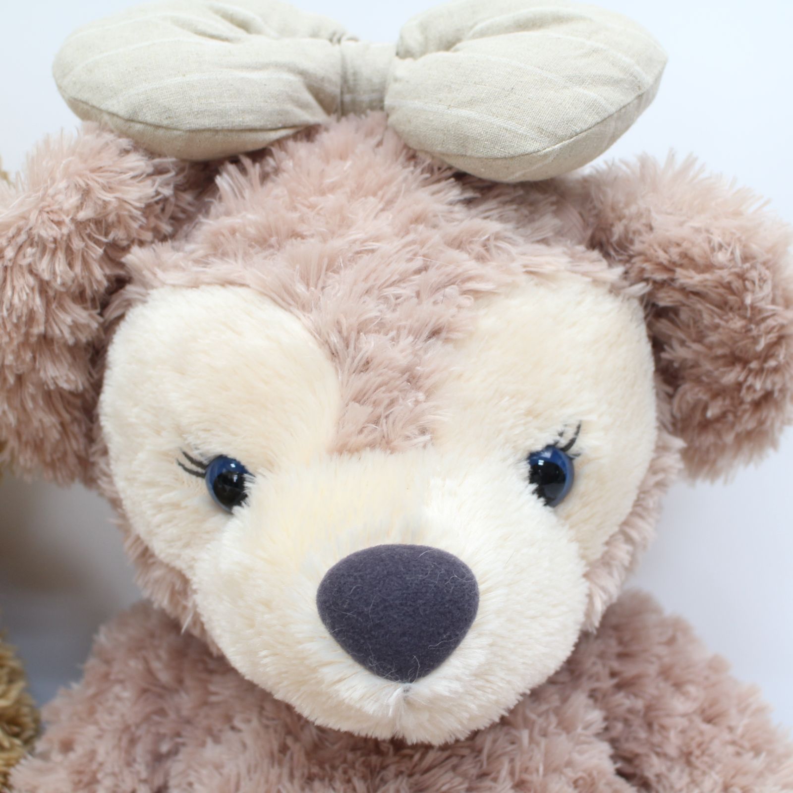 ダッフィー シェリーメイ ぬいぐるみ2点セット 美品 ディズニー ダッフィー シェリーメイ ぬいぐるみストラップ2個