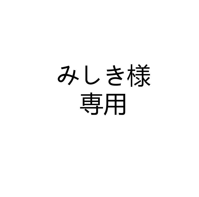 格安SALEみしき様専用 その他