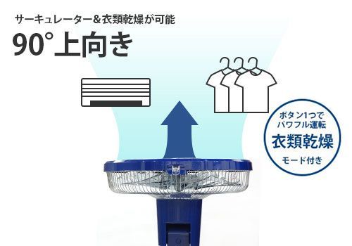 貴重！オールドスクール Sun Rise SR-21 スケートボード 1988年 2025年