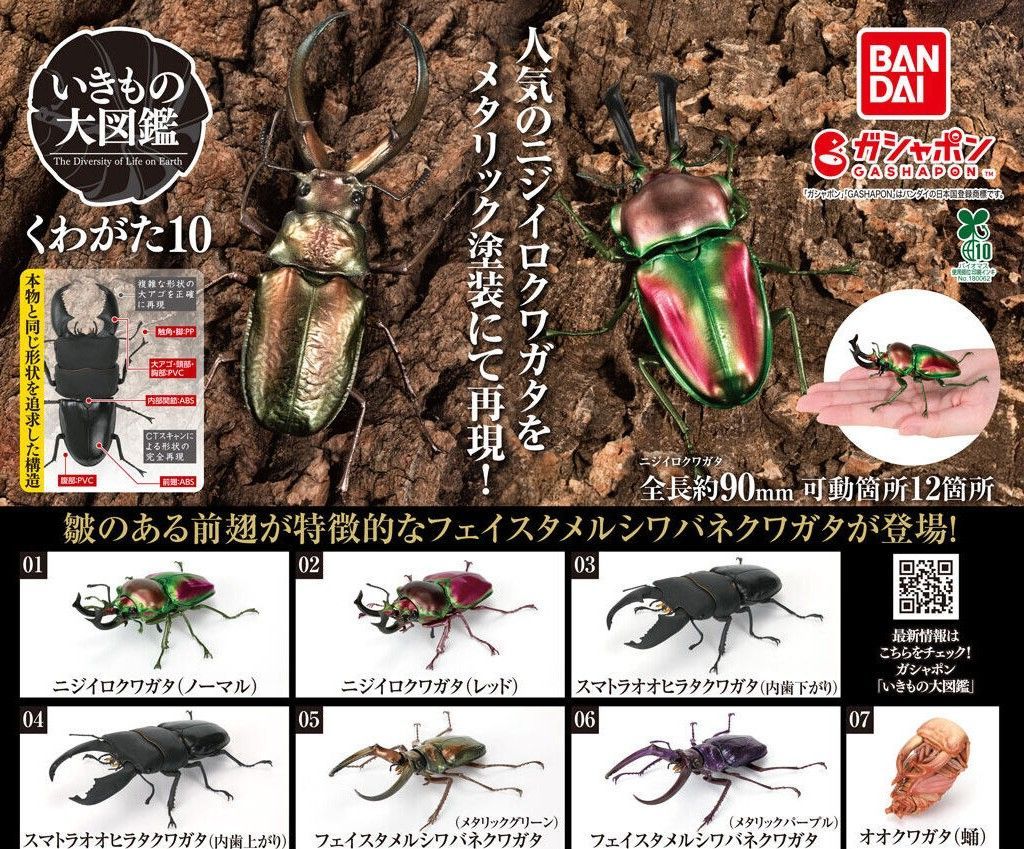 いきもの大図鑑 くわがた10 [全7種セット(フルコンプ