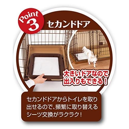 レギュラー