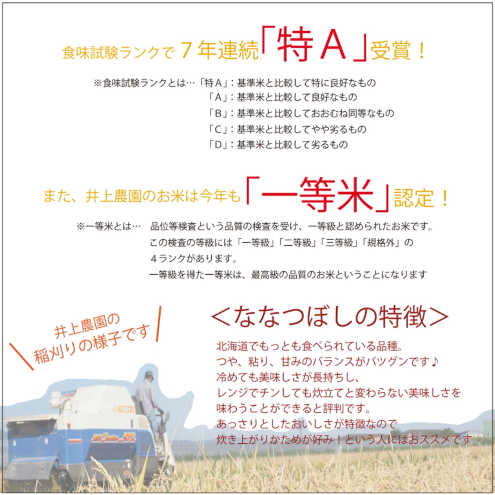 新米ななつぼし＆ゆめぴりか 玄米5kgずつ お米10kg お米 米 ブランド米