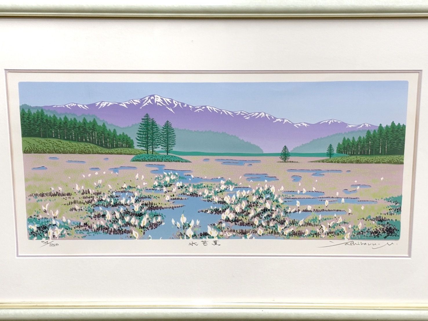 松岡義治 水芭蕉