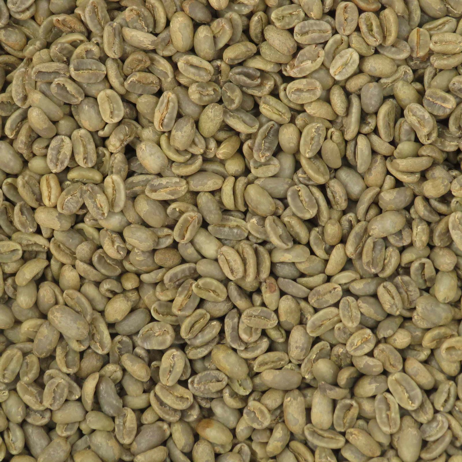 パナマ・エスメラルダ・ゲイシャ コーヒー生豆 2kg サザコーヒー