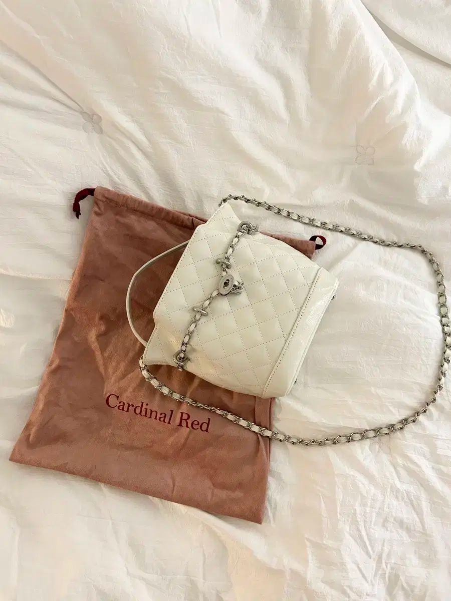 Cardinal Red カーディナルレッド ホワイト ベルバック