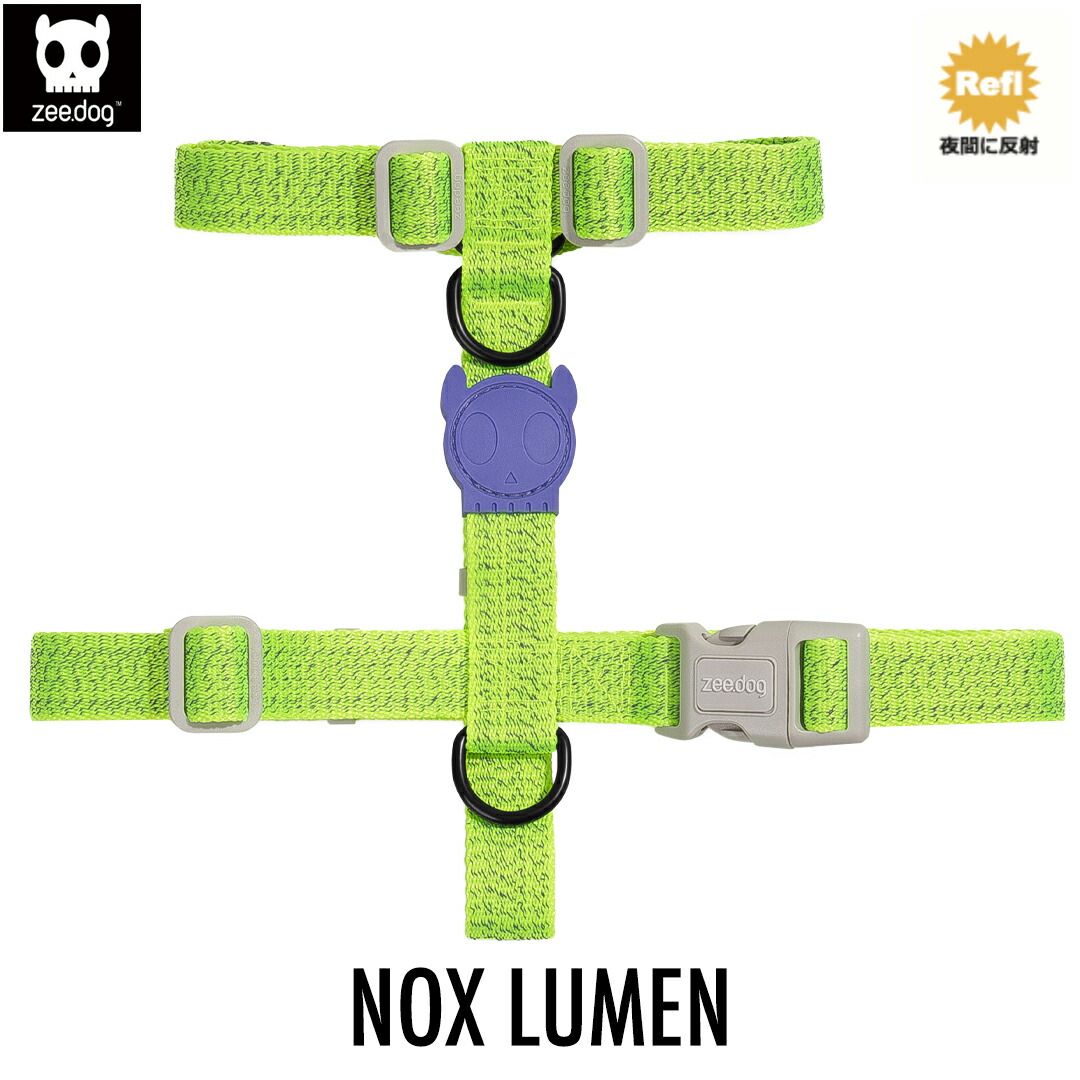 ☆ 境 肇 ☆「サンゴ草」油絵 F4号 新品額！ ☆ 境 肇 ☆「サンゴ草