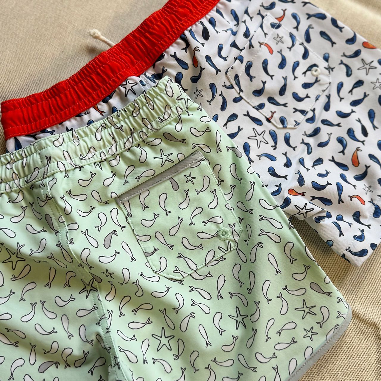 FOLPETTO 男の子 水着 TOMMASO Fish print in cobalt blue and ivory
