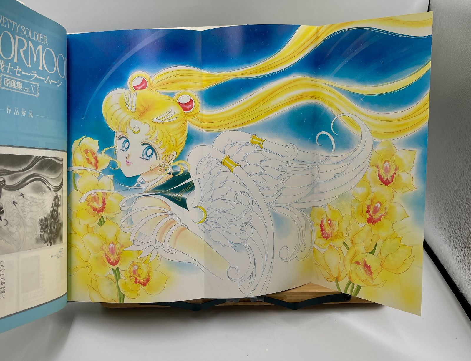 美少女戦士セーラームーン 原画集 vol.5 vol.V セーラームーン 武内