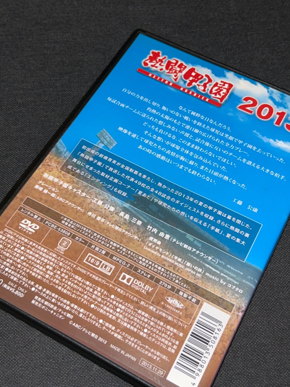 2013 ~第95回記念大会