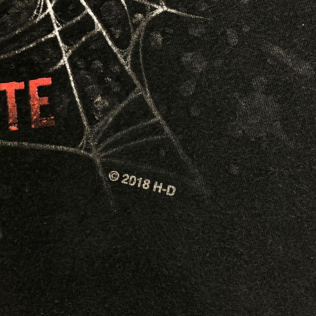 Ｔシャツ