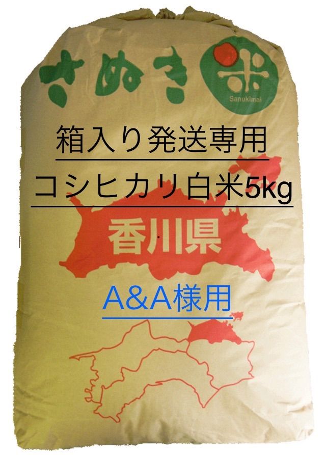 箱入り発送専用  令和6年度 香川県産コシヒカリ  白米5kg