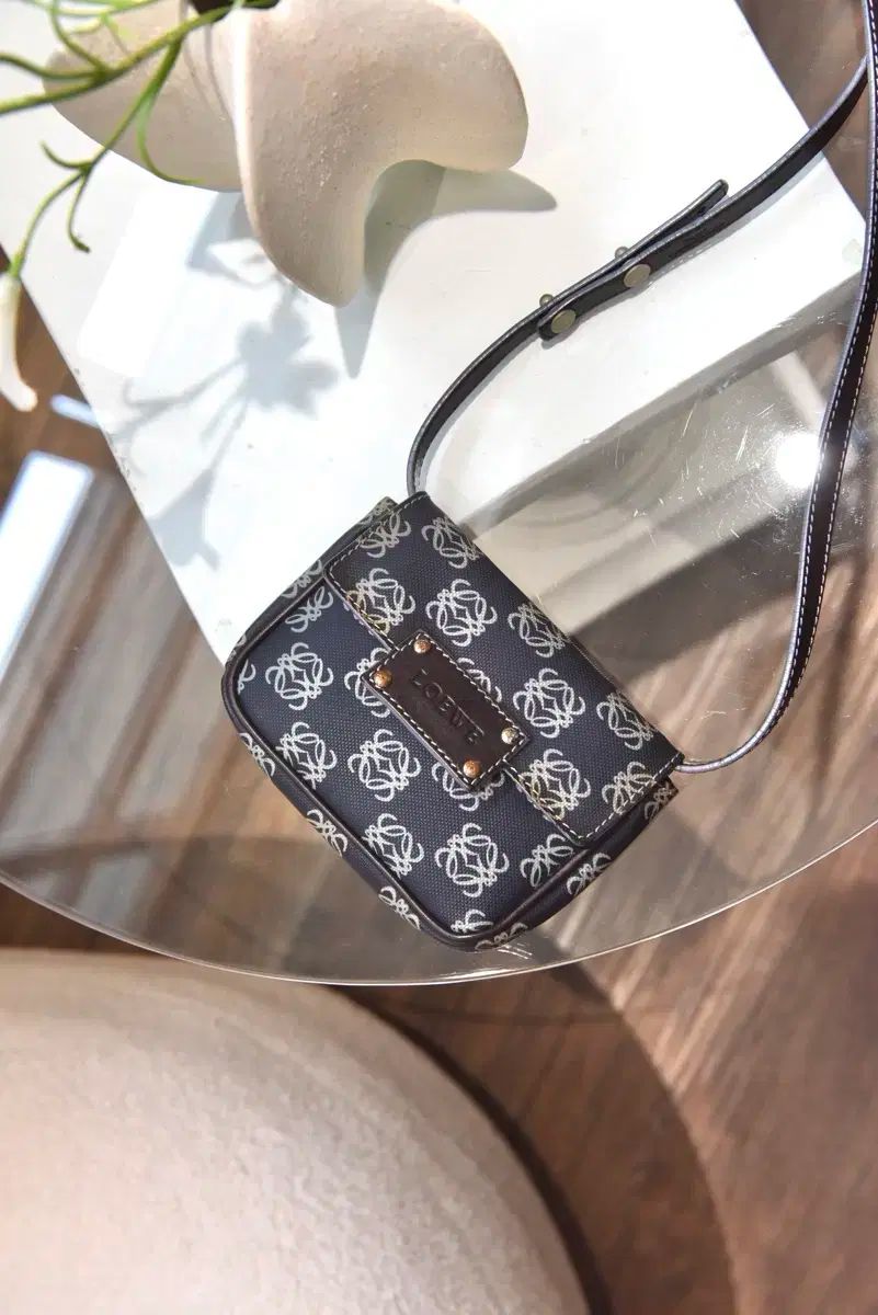LOEWE ロエベ バンドゥレラ ポケット クロスバッグ