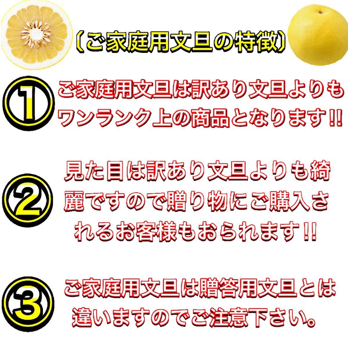 土佐 文旦 特大 ５L サイズ 10kg ご家庭用 ぶんたん 高知産土佐文旦