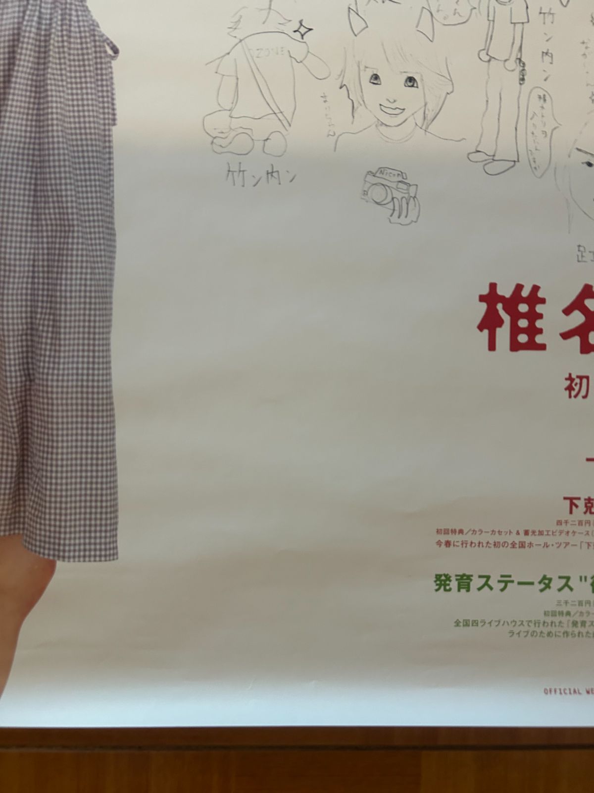 椎名林檎 下剋上エクスタシービデオB2販促用ポスター ポスター 椎名林檎 下剋上エクスタシー - メルカリ
