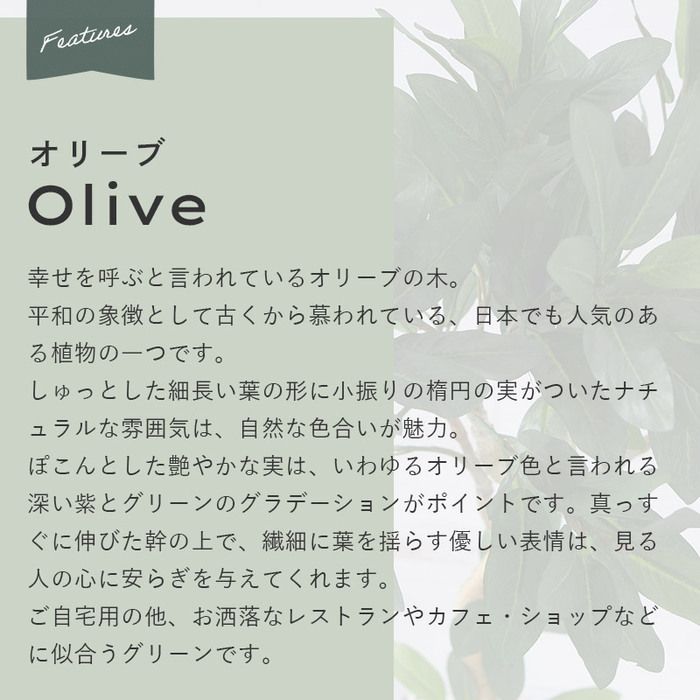 フェイクグリーン 大型