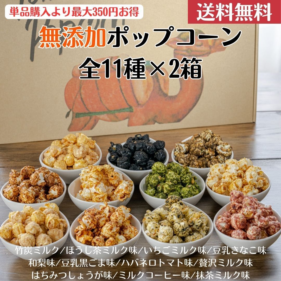 アロカシア ワトソニアナ Var Mint & Aurea (mix) 斑入り アロカシア